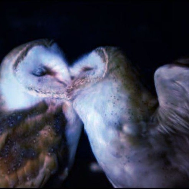 [Л.Ф. оффц]•.° Nest °.•//////