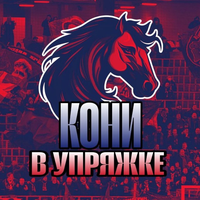 Кони в упряжке ( ПФК ЦСКА )