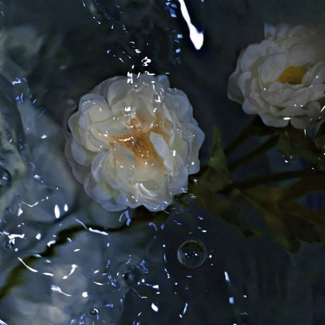 ✧Пристань Юньхэ✧ || Кайли Сиу