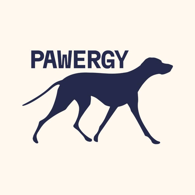 Pawergy | Dog Studio