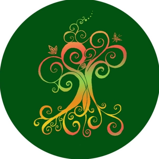 Elven Forest