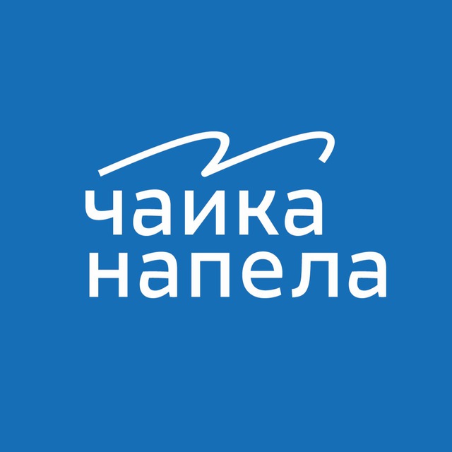 Чайка напела | медиа о Владивостоке