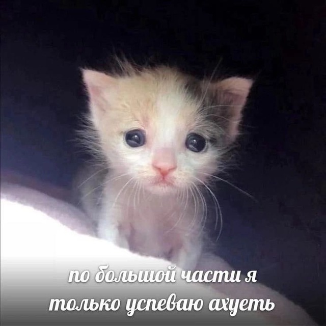 Ниша (Незаконченная История)