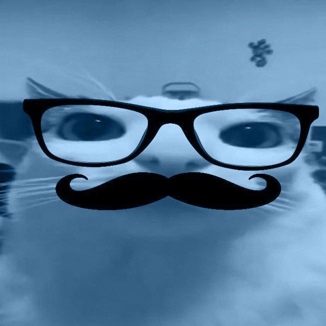 обо мне
