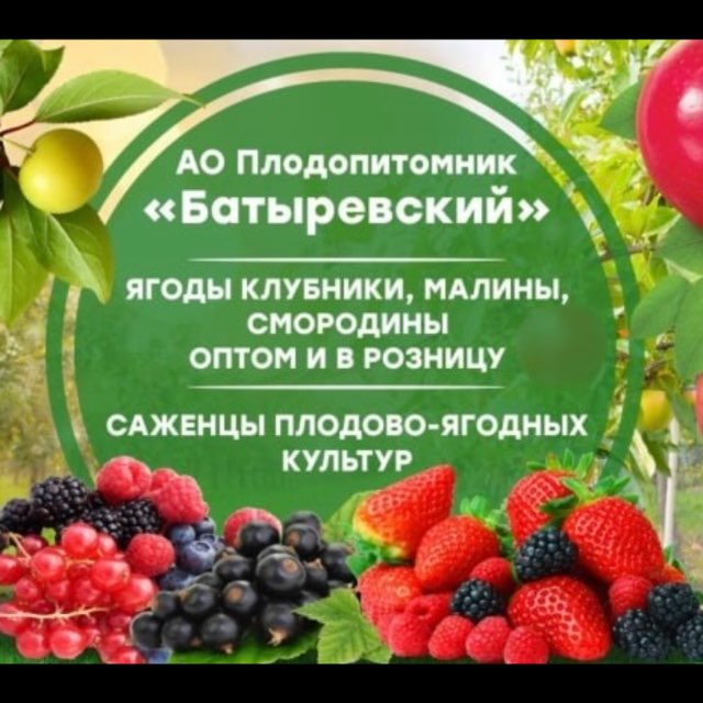 Плодопитомник Батыревский