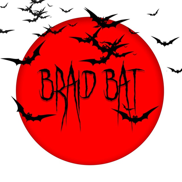 BRAID BAT | дреды, косы, дредокудри