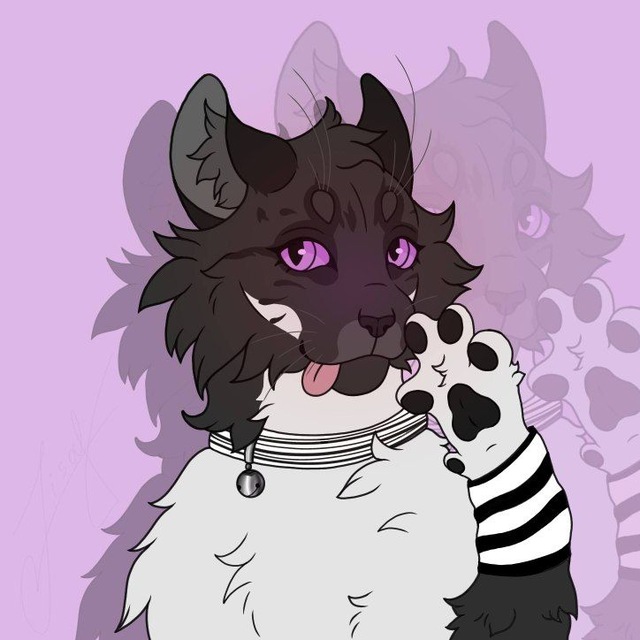 °𝐁𝐥𝐚𝐜𝐤 𝐬𝐭𝐨𝐫𝐦° 𝗦𝘁𝘂𝗱𝗶𝗼