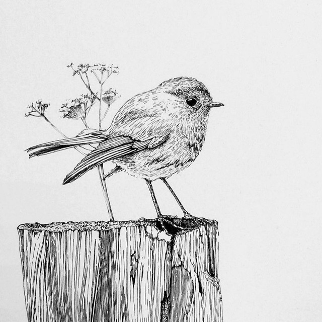 tettykorem_art