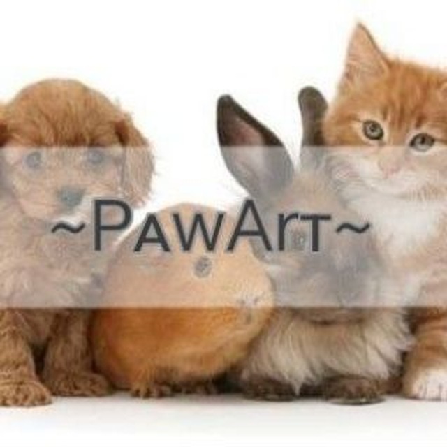 PᴀwArᴛ /conf