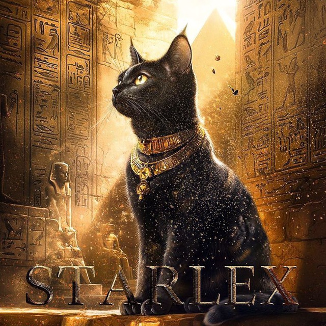 𝐬𝐭𝐚𝐫𝐥𝐞𝐱 🐈‍⬛