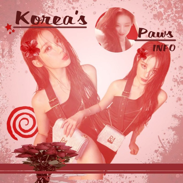 Info ||°Korea's Paws°||