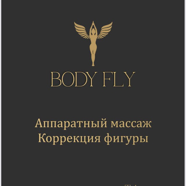 Body Fly аппаратный массаж