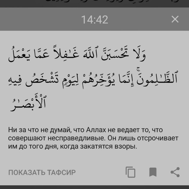 Твой лук и стрелы