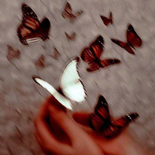 Черновики Винил 🥀