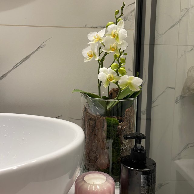 Flow Floral orchids || Орхидейные композиции «Поток ФлорАл»