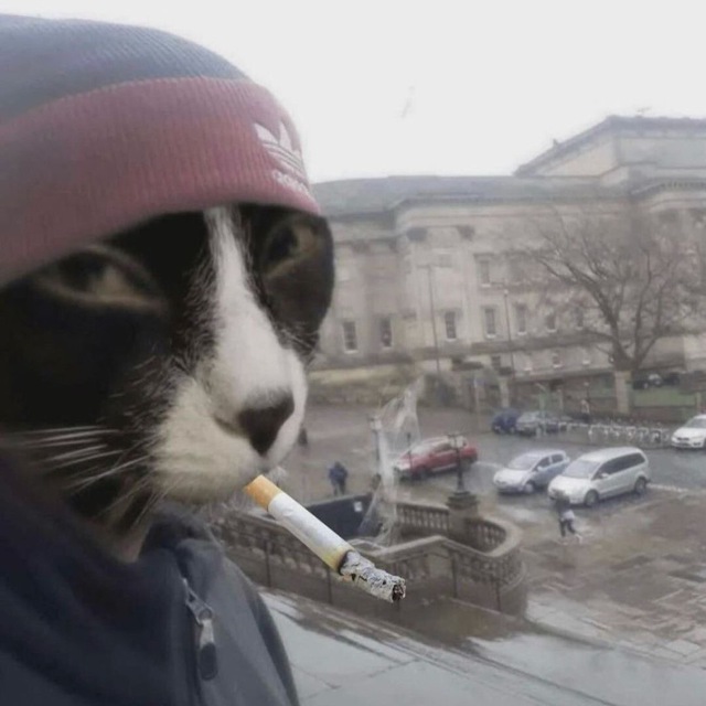 что-то рисуется