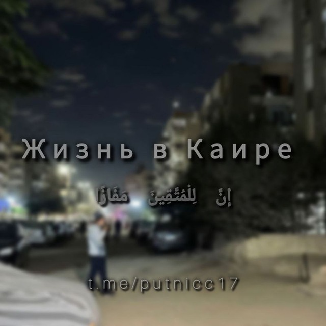 жизнь в Каире