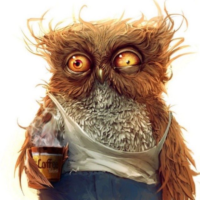 А я думала сова 🦉🤪 (memеs)