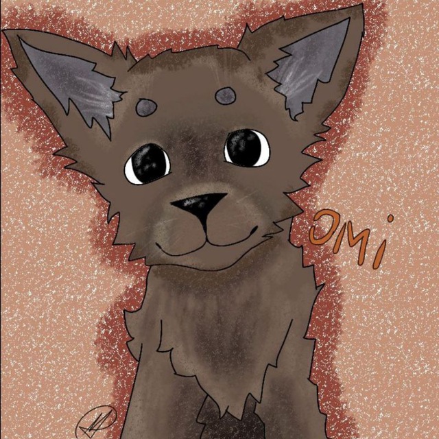 .°Отзывы omi.ori shop°.