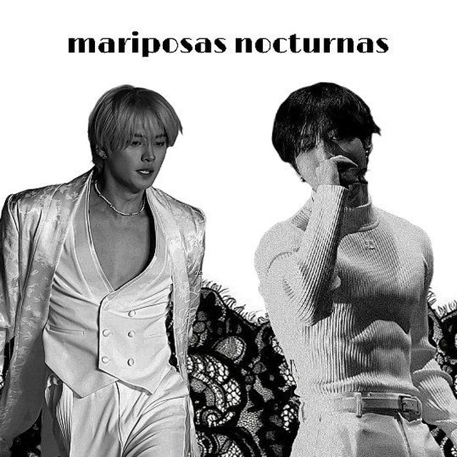 𝑀𝒜𝑅𝐼𝒫𝒪𝒮𝒜𝒮 𝒩𝒪𝒞𝒯𝒰𝑅𝒩𝒜𝒮