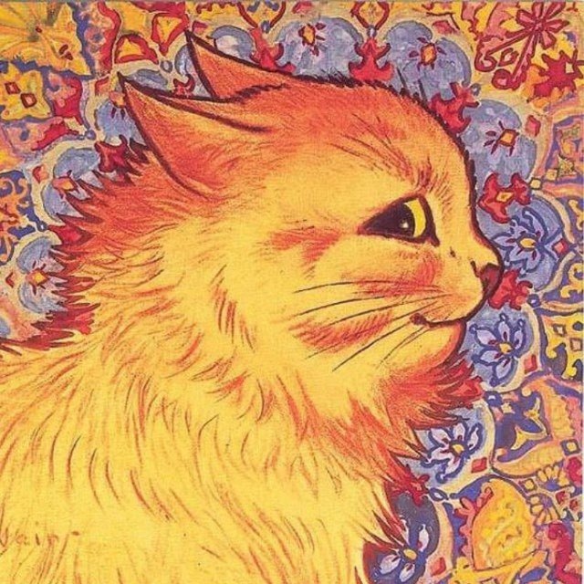 Чёрно-Белые дети Дома | Инфо