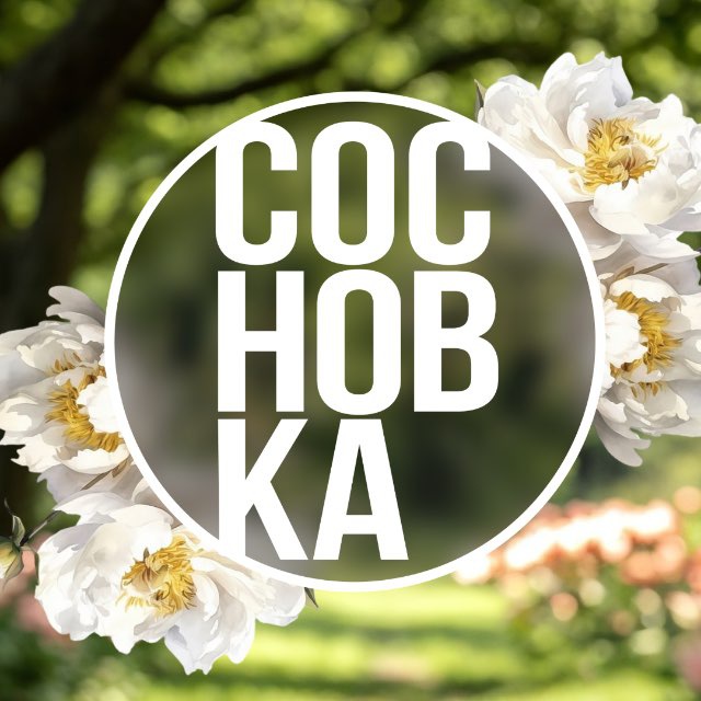 Путь к мечте через ландшафт | Сосновка