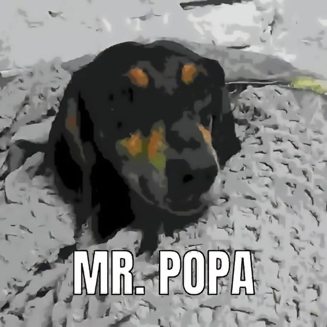 oh woopi ...