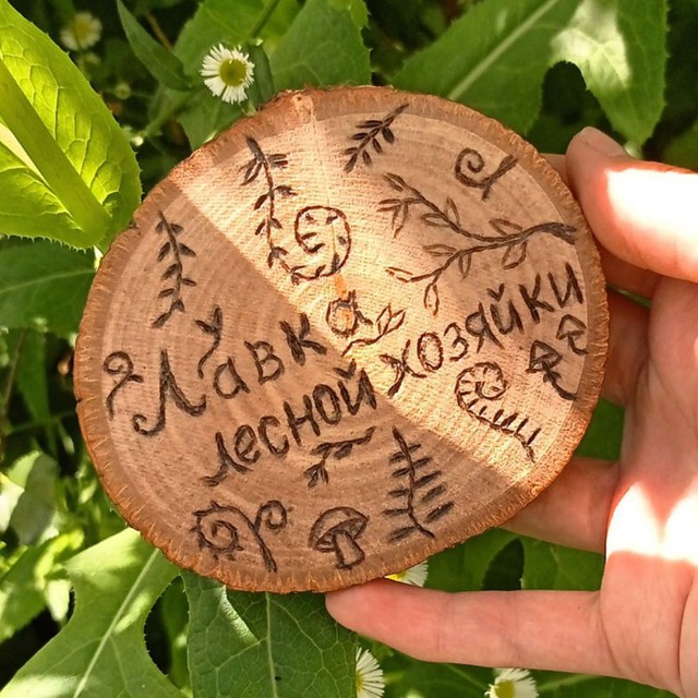 Логово лесной хозяйки 🌿