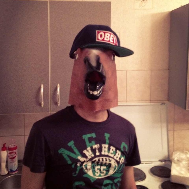 Инкубатор DroEd'a
