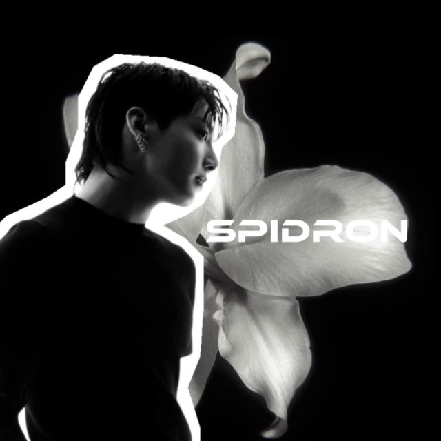 spidron