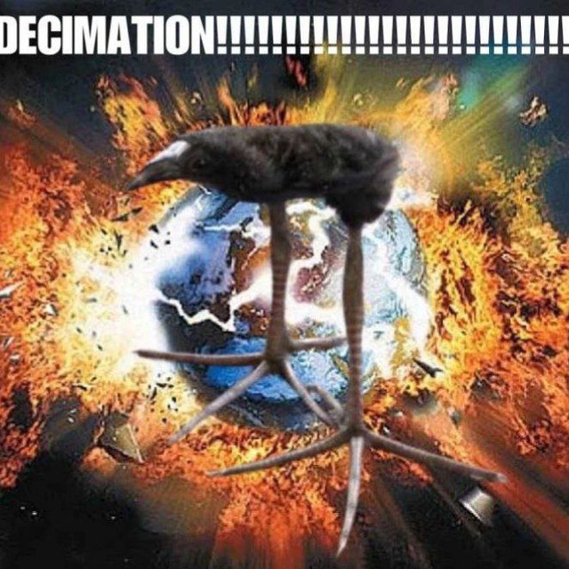 DEGRADATION