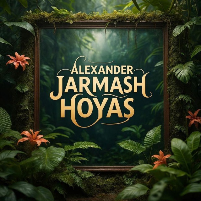 Alexander Jarmash (hoyas) 🌺