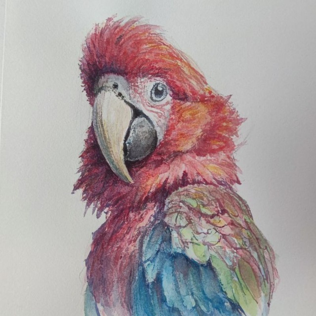 Рисовашки