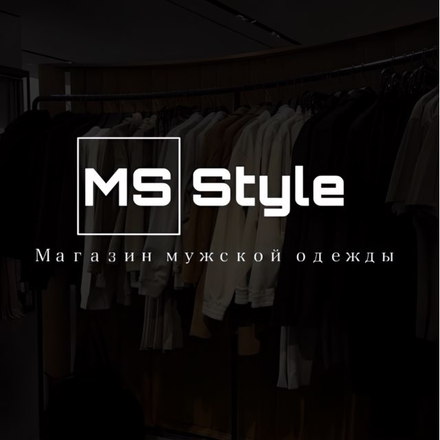 MSstyle