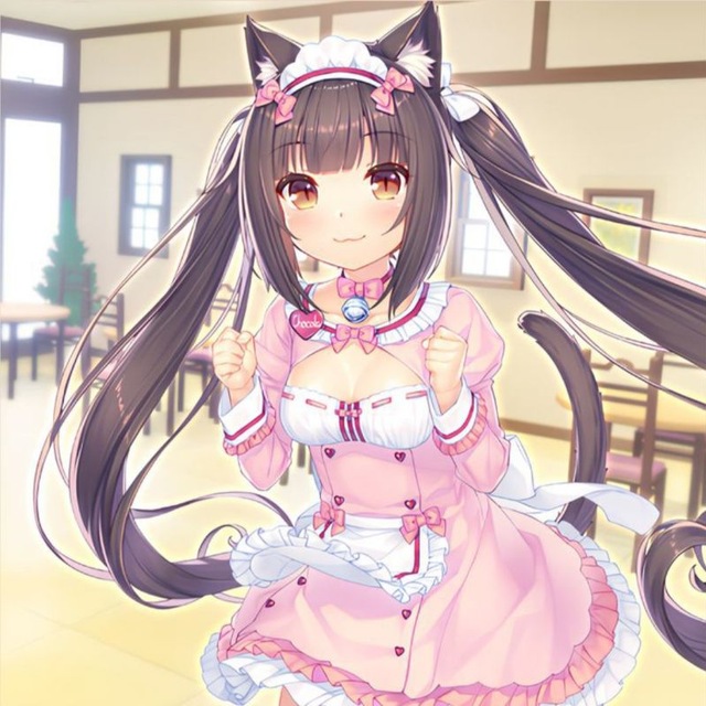 чокола пр