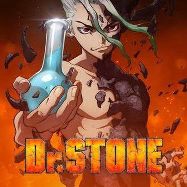 Dr. Stone