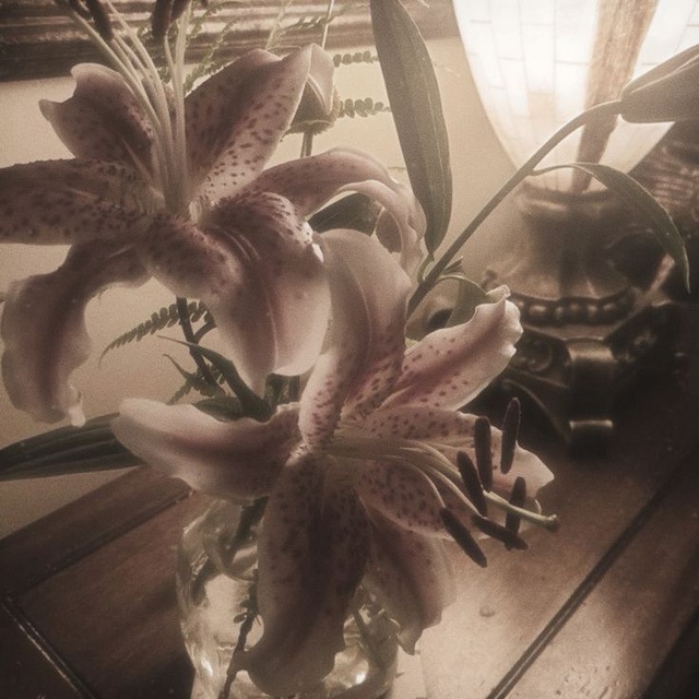 Lilium mortis.