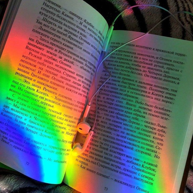 Eu leio livros LGBTs