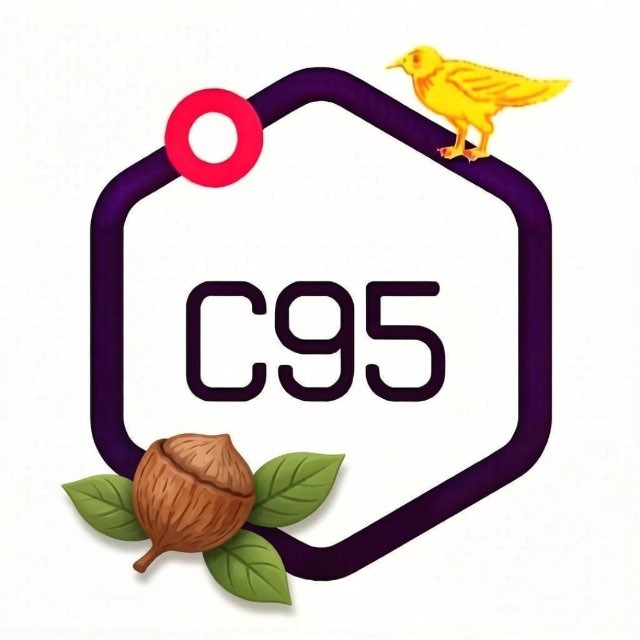 C95 Орехово-Зуево