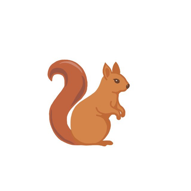 Squirreleng
