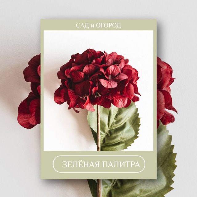 "Зелёная палитра" - САД и ОГОРОД / ДАЧА / ЛАНДШАФТ