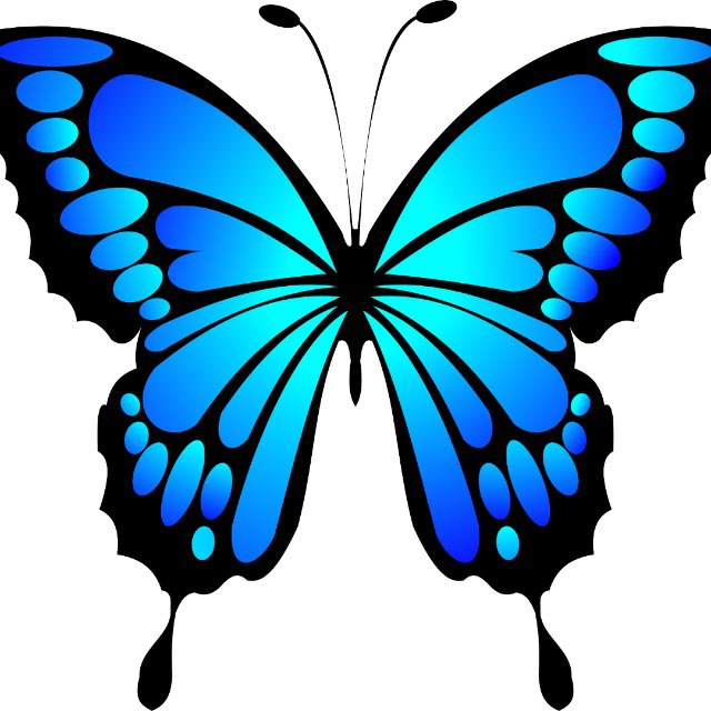 🦋Наргис Дубайская🦋