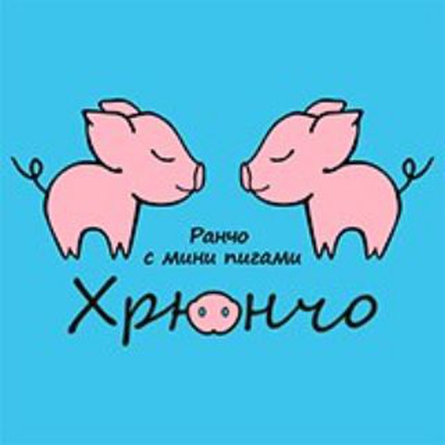 Антикафе «Хрюнчо» 🐷 ранчо с мини-пигами