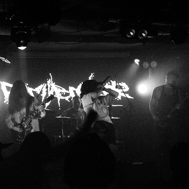 PARTYBREAKER XVX