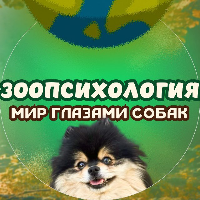 ЗООПСИХОЛОГИЯ мир глазами собак