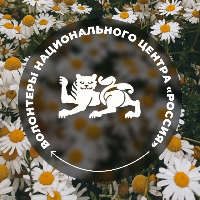 Волонтеры Национального центра «Россия»