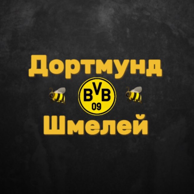 ДШ | Боруссия Дортмунд 💛🖤