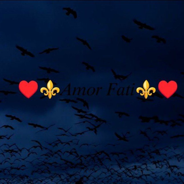 ♥️⚜️𝐴𝑚𝑜𝑟 𝐹𝑎𝑡𝑖⚜️♥️