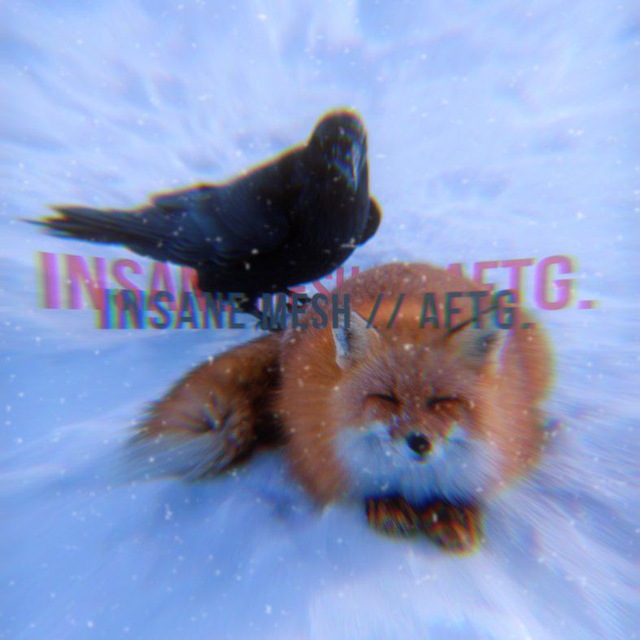 𝙞𝙣𝙨𝙖𝙣𝙚 𝙢𝙚𝙨𝙝 // 𝘼𝙁𝙏𝙂 !