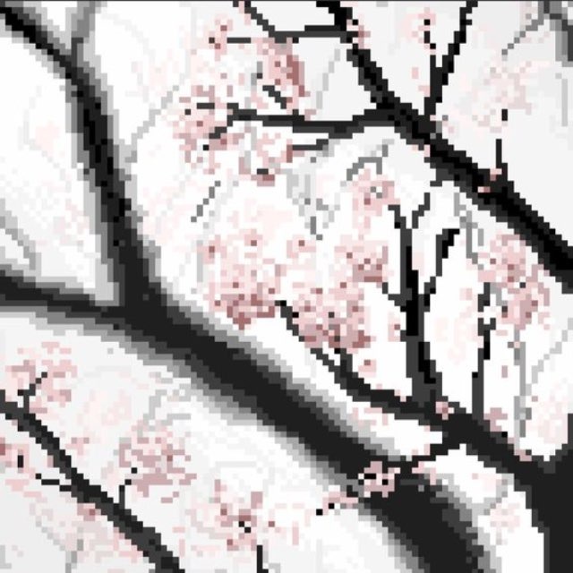 Nymphe 𑄻𑄾